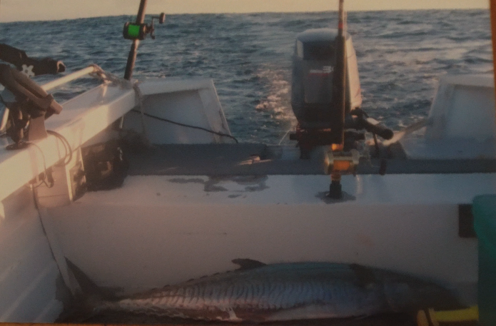 mackerel fishing gear