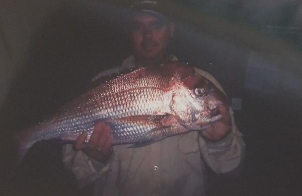 Quick Snapper Rig
