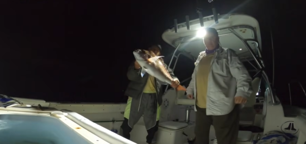 how to catch big snapper
